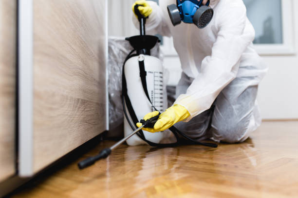 Best Affordable Pest Control Services  in Red Bank, NJ