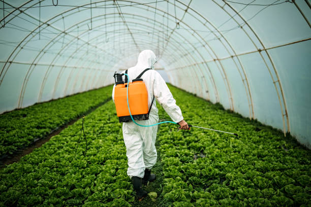 Reliable Red Bank, NJ Pest Control Solutions