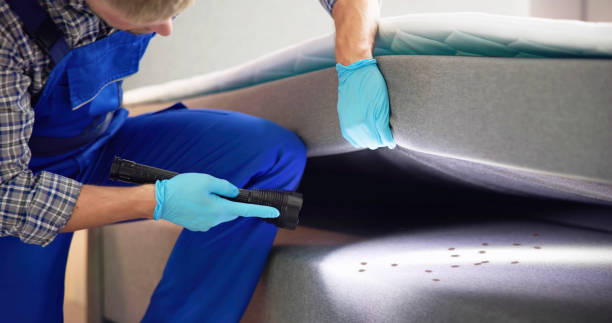 Best Wasp Removal Services  in Red Bank, NJ