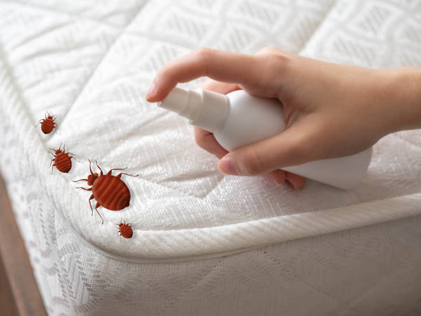 Best Local Pest Control Services  in Red Bank, NJ