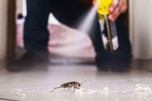 Best Termite Control Services  in Red Bank, NJ