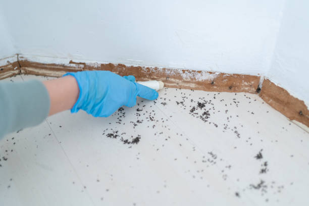 Best Mosquito Control Services  in Red Bank, NJ