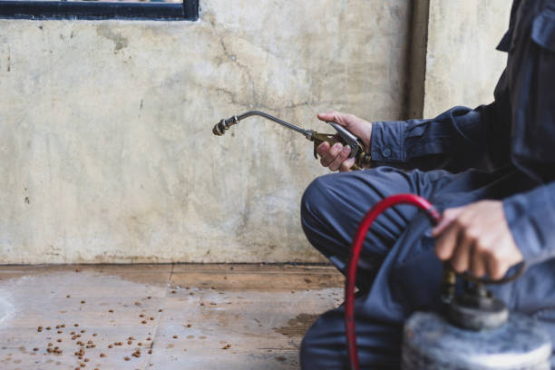 Best Termite Control Services  in Red Bank, NJ